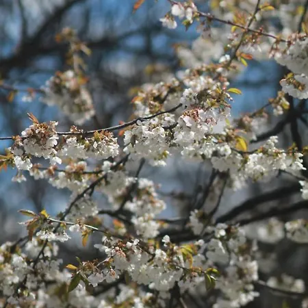 בית נופש Tunnel Ravne
