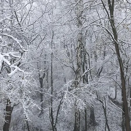 Tunnel Ravne ויסוקו