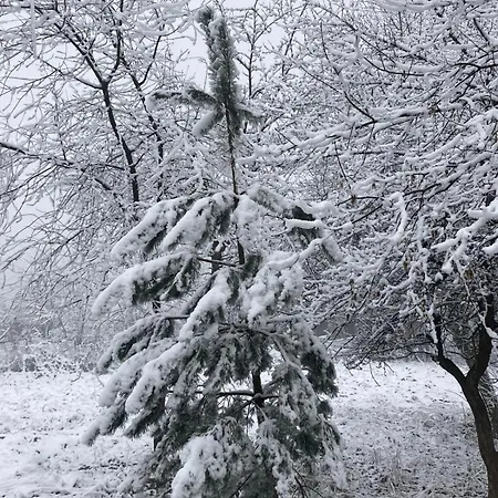 Tunnel Ravne * ויסוקו