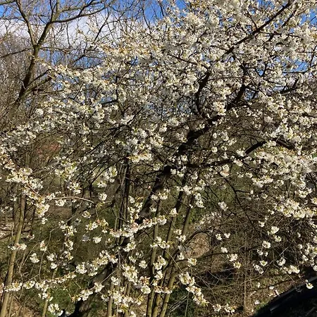 Tunnel Ravne Vikendica