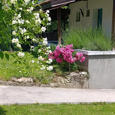 Tunnel Ravne ויסוקו