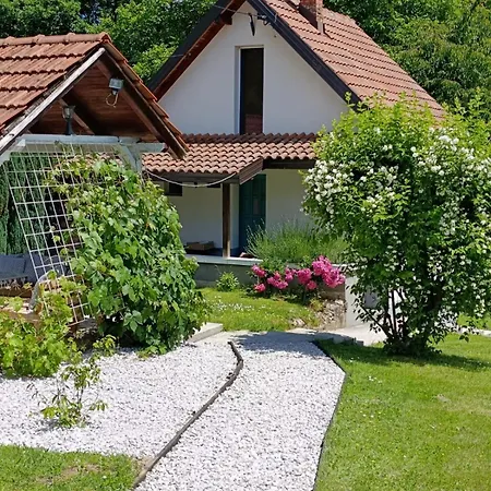 Tunnel Ravne בית נופש *