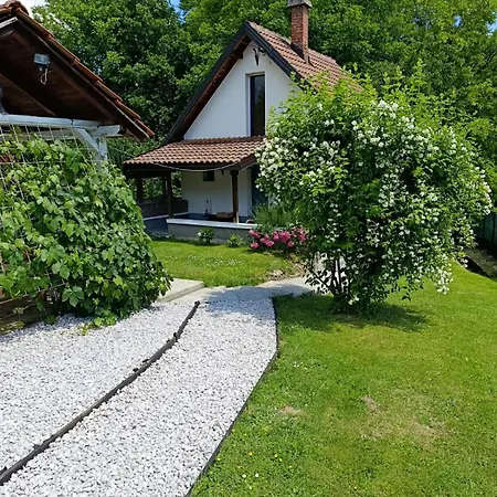 Tunnel Ravne * ויסוקו